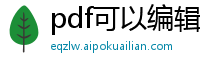 pdf可以编辑文字吗 wps
